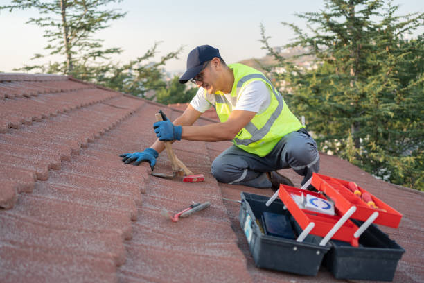Roof Gutter Cleaning in West Lafayette, OH